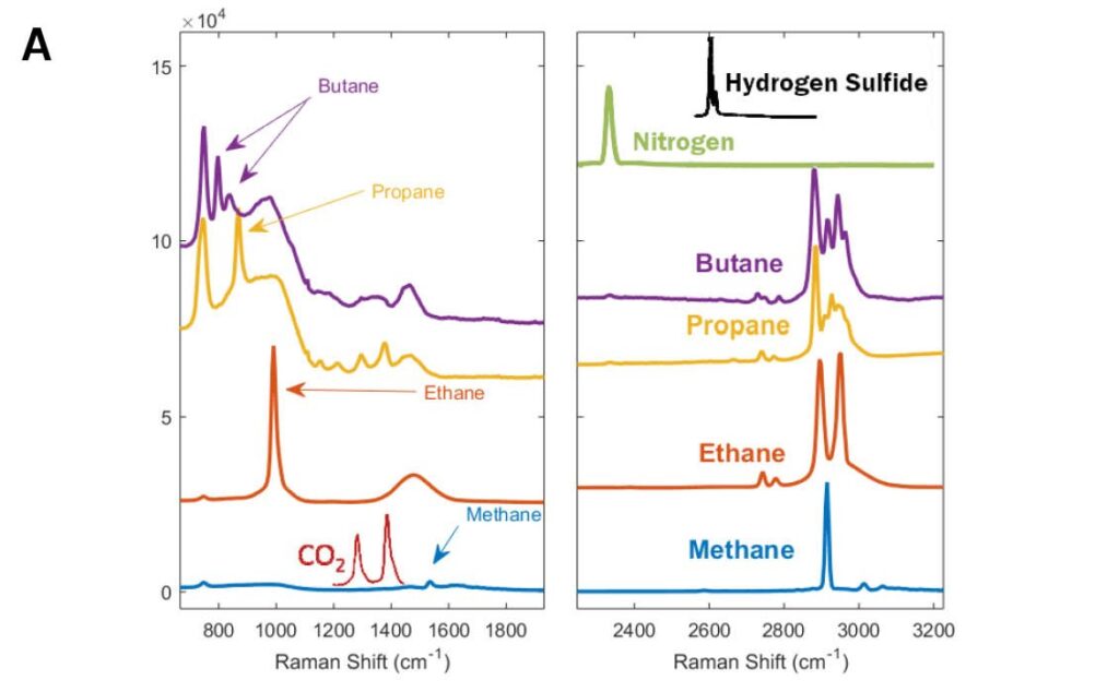 Raman Spectroscopy Labs Services